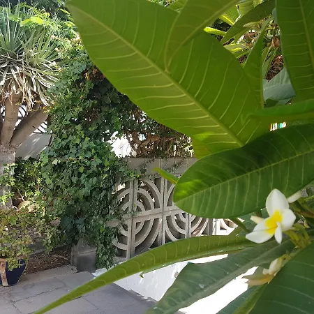 Diaz Aleman Apartment